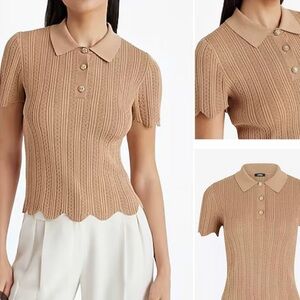 Express Camel Knit Polo Top